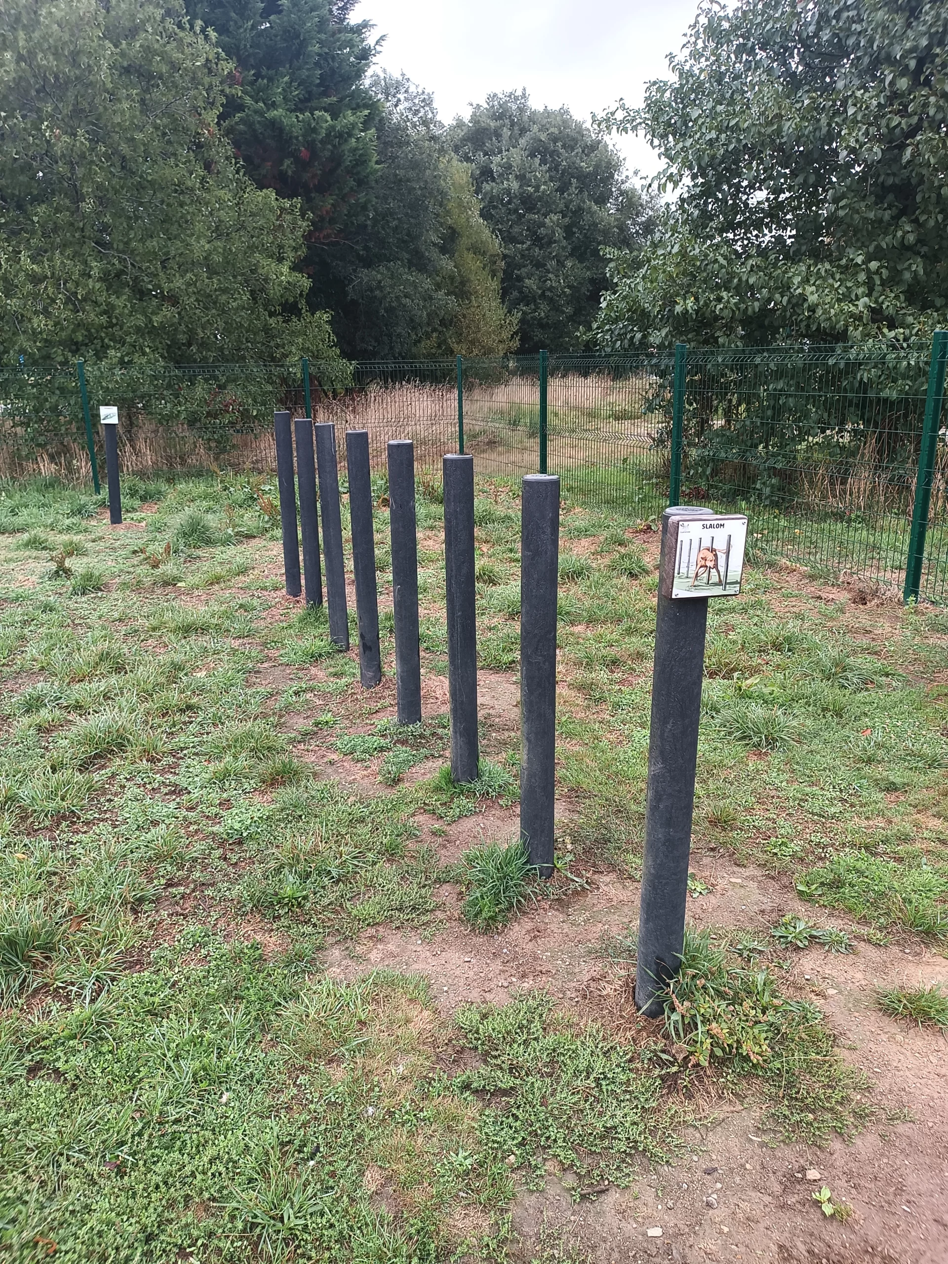 Slalom d’agility canin en plastique recyclé pour parcours sportif pour chiens