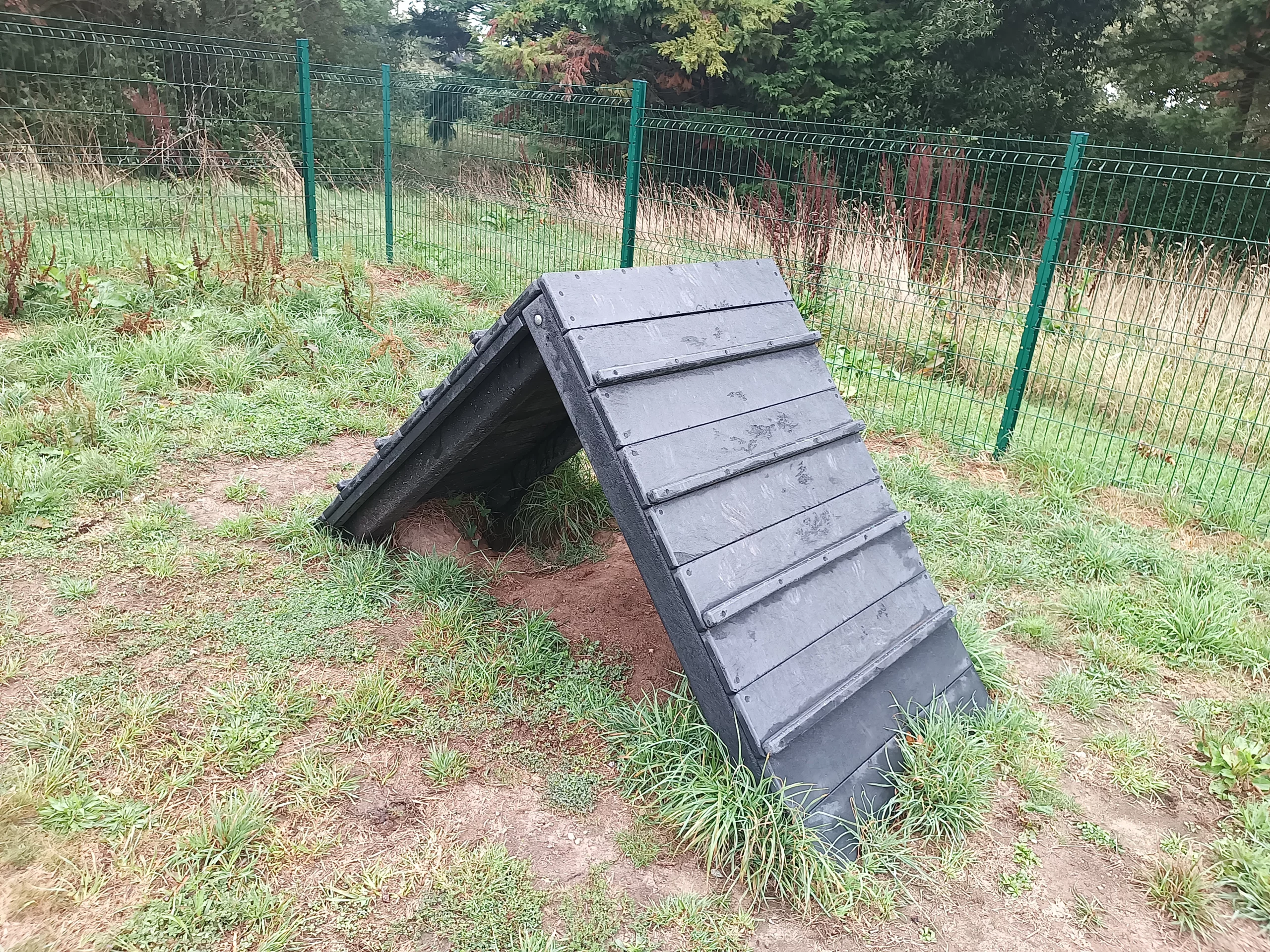 Palissade d’agility canin en plastique recyclé sur un parcours d’obstacles pour chiens
