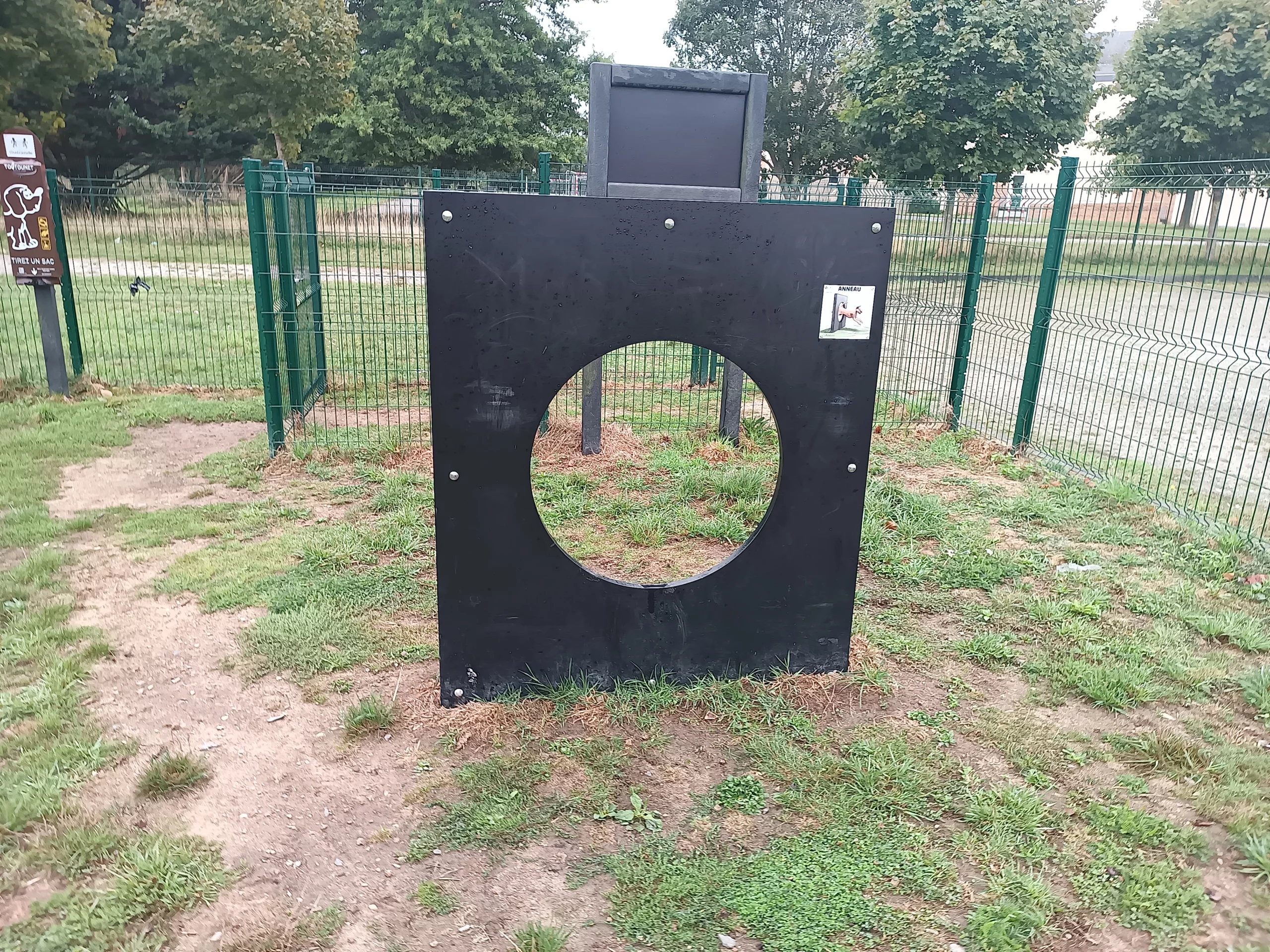 Anneau d’agility canin en plastique recyclé sur un parcours d’obstacles pour chiens