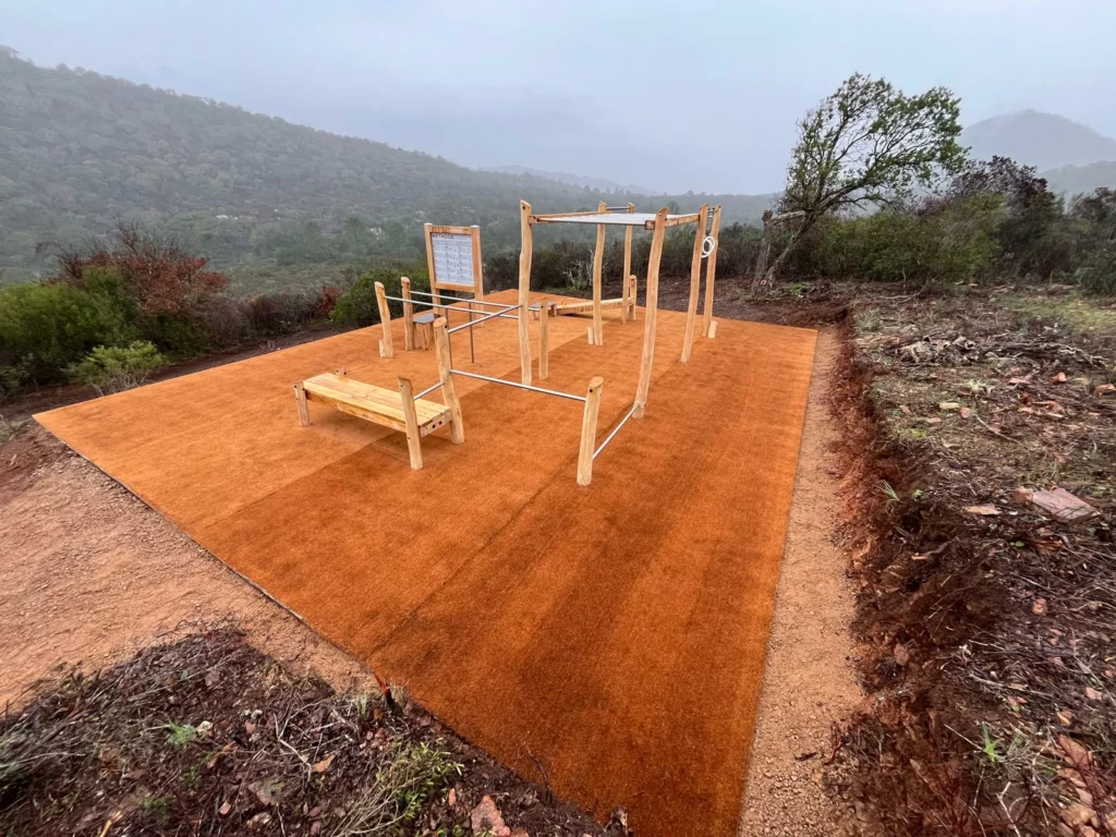 Cage street workout full body Robinier (3)