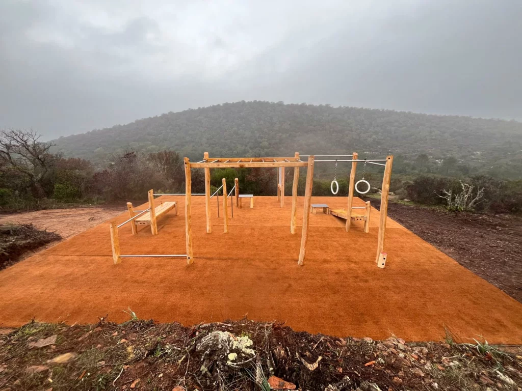 Cage street workout full body Robinier (7)