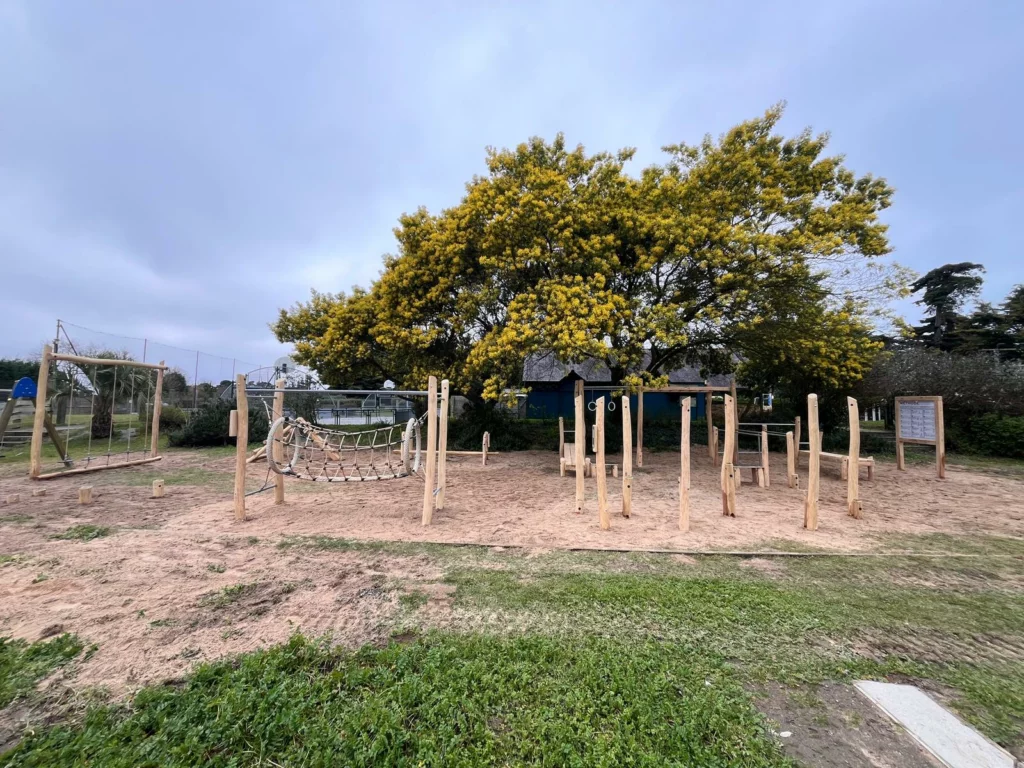 ESPACES RENARD - Espace ludique et sportif - Robinier (5)