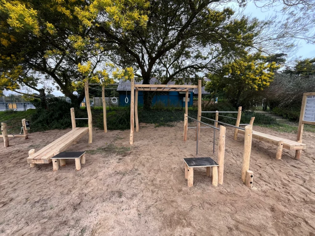 ESPACES RENARD - Street workout - Robinier (2)