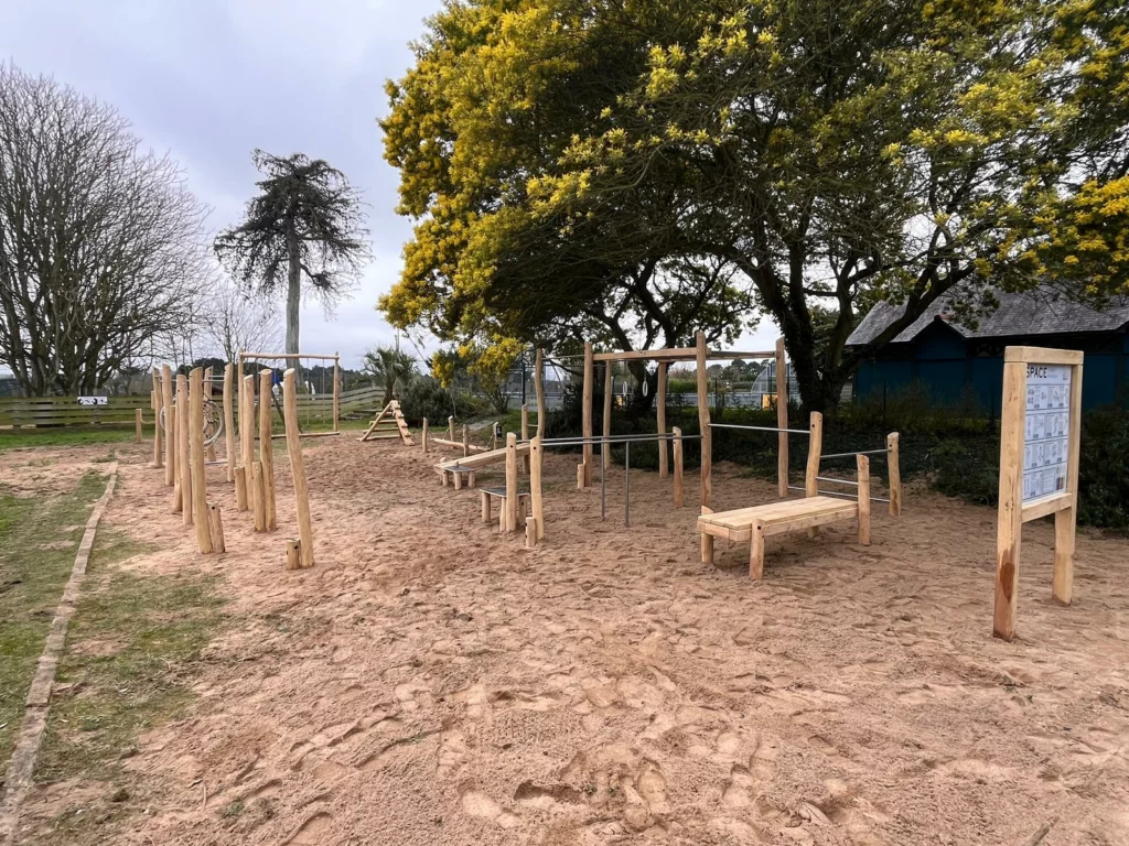 ESPACES RENARD - Street workout - Robinier (6)