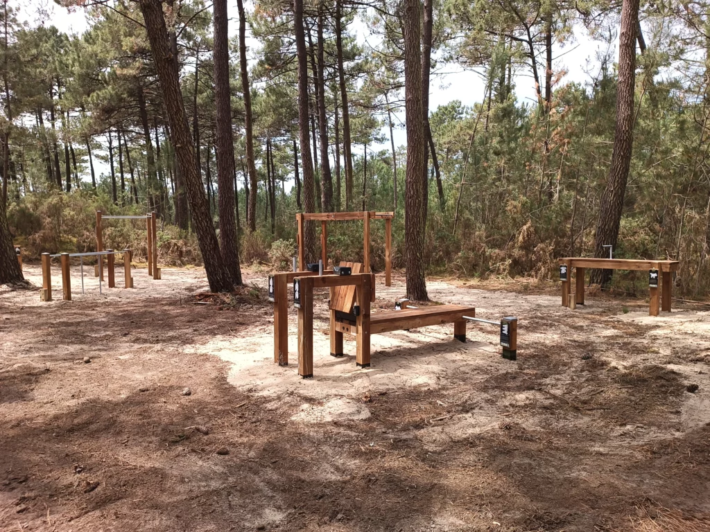 Parcours sportif - Pin classe 4 - Montalivet