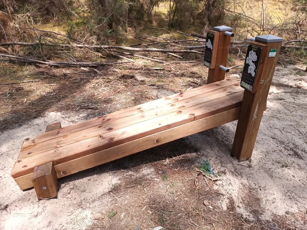 Parcours sportif - Pin classe 4 - Montalivet - Abdominaux sur plancher incliné