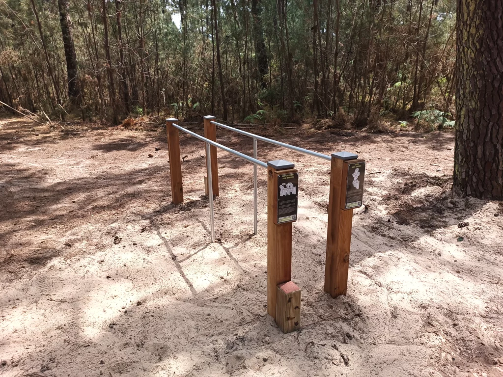 Parcours sportif - Pin classe 4 - Montalivet - Barres parallèles