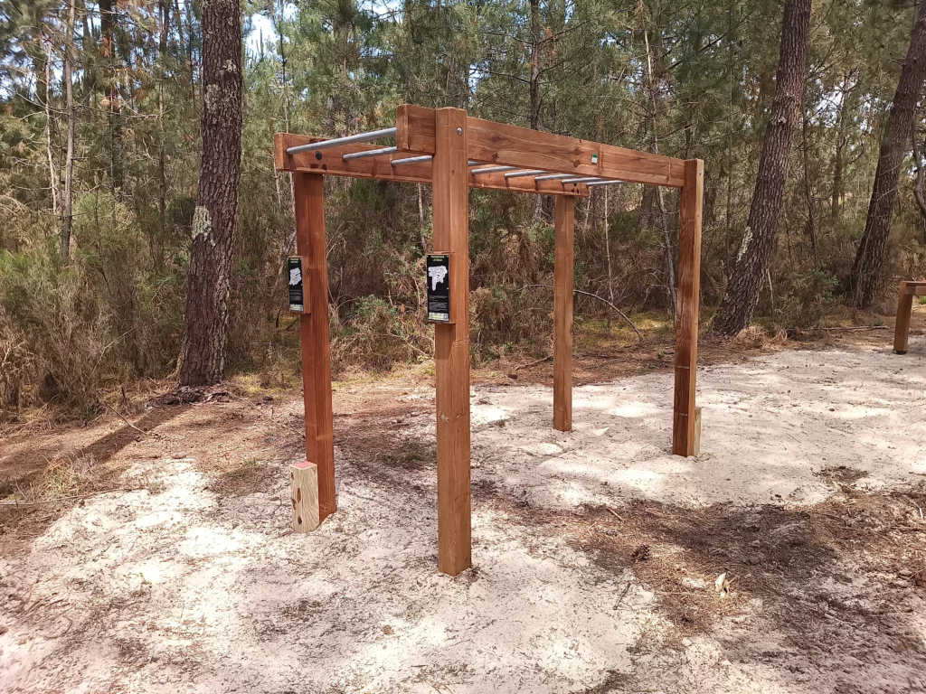 Parcours sportif - Pin classe 4 - Montalivet - Echelle horizontale