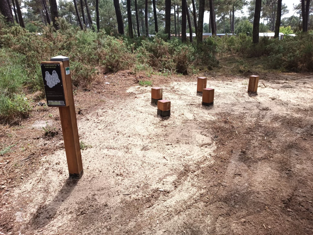 Parcours sportif - Pin classe 4 - Montalivet - Pas japonais