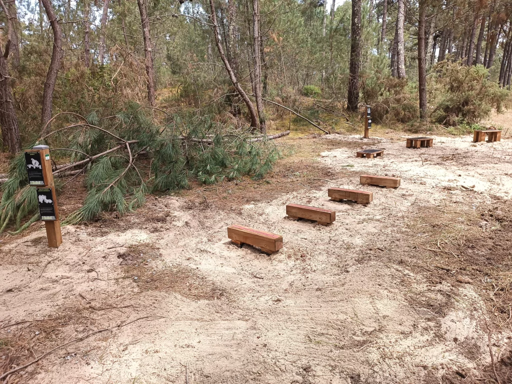 Parcours sportif - Pin classe 4 - Montalivet - Petites haies fixes