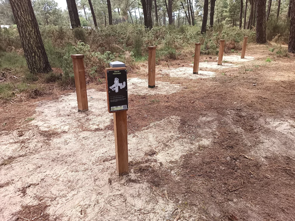 Parcours sportif - Pin classe 4 - Montalivet - Saute moutons