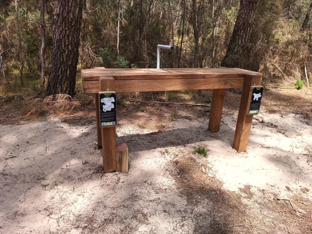 Parcours sportif - Pin classe 4 - Montalivet - Table spinaux fessiers