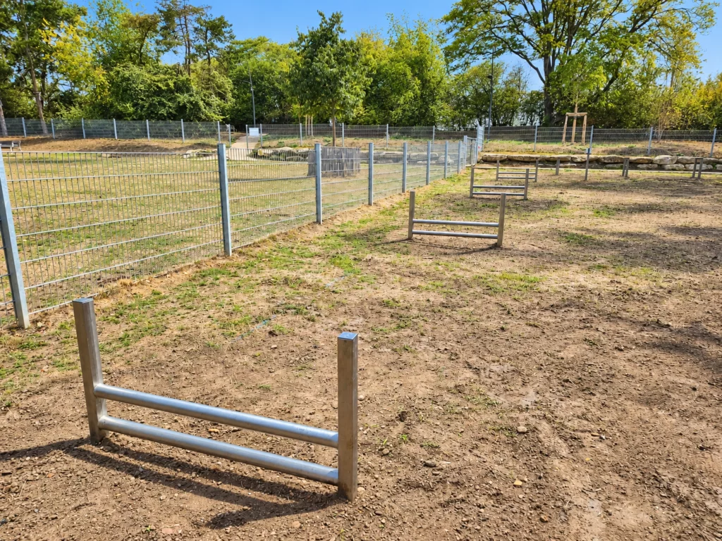 Petites haies doubles pour parcours agility canin en inox