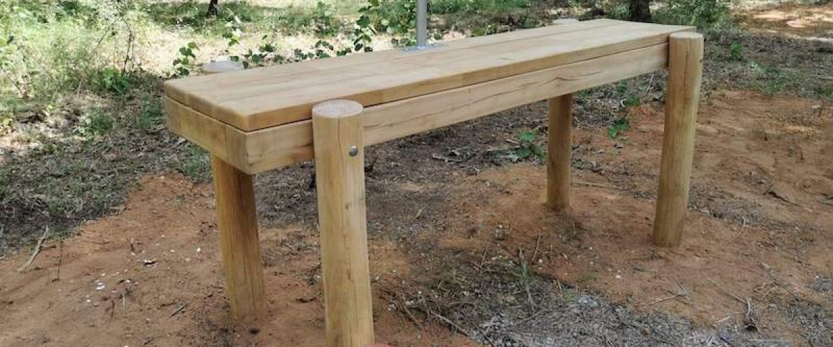 Table spinaux fessiers dorsaux lombaires - Robinier
